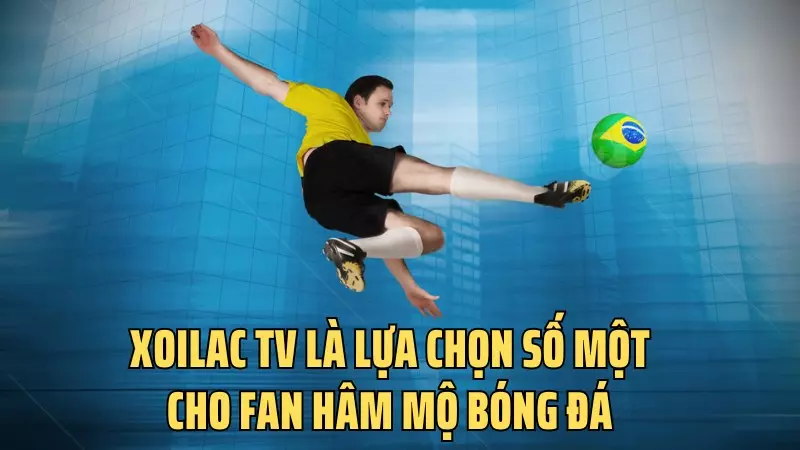 Xoilac TV là lựa chọn số 1 cho fan hâm mộ bóng đá
